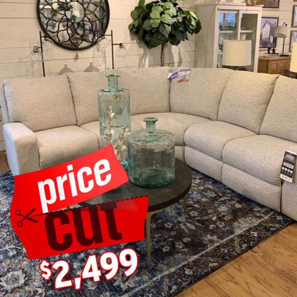 price cut sectional