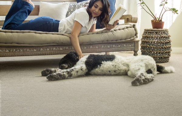 Pet Friendly Carpet and Flooring