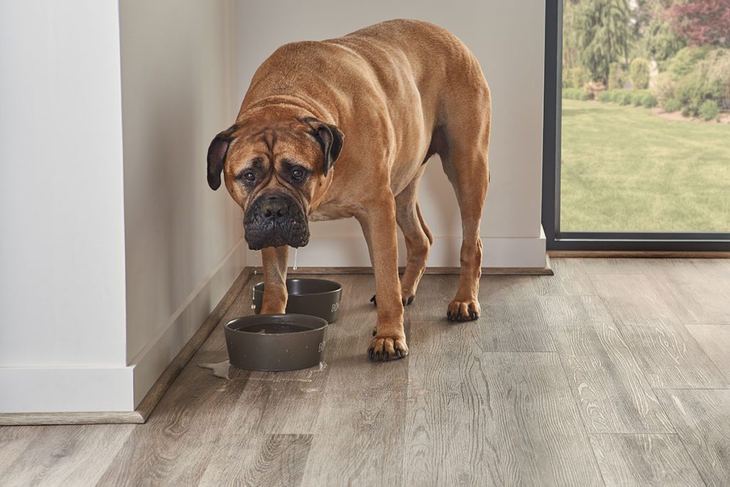 water resistant flooring for pets