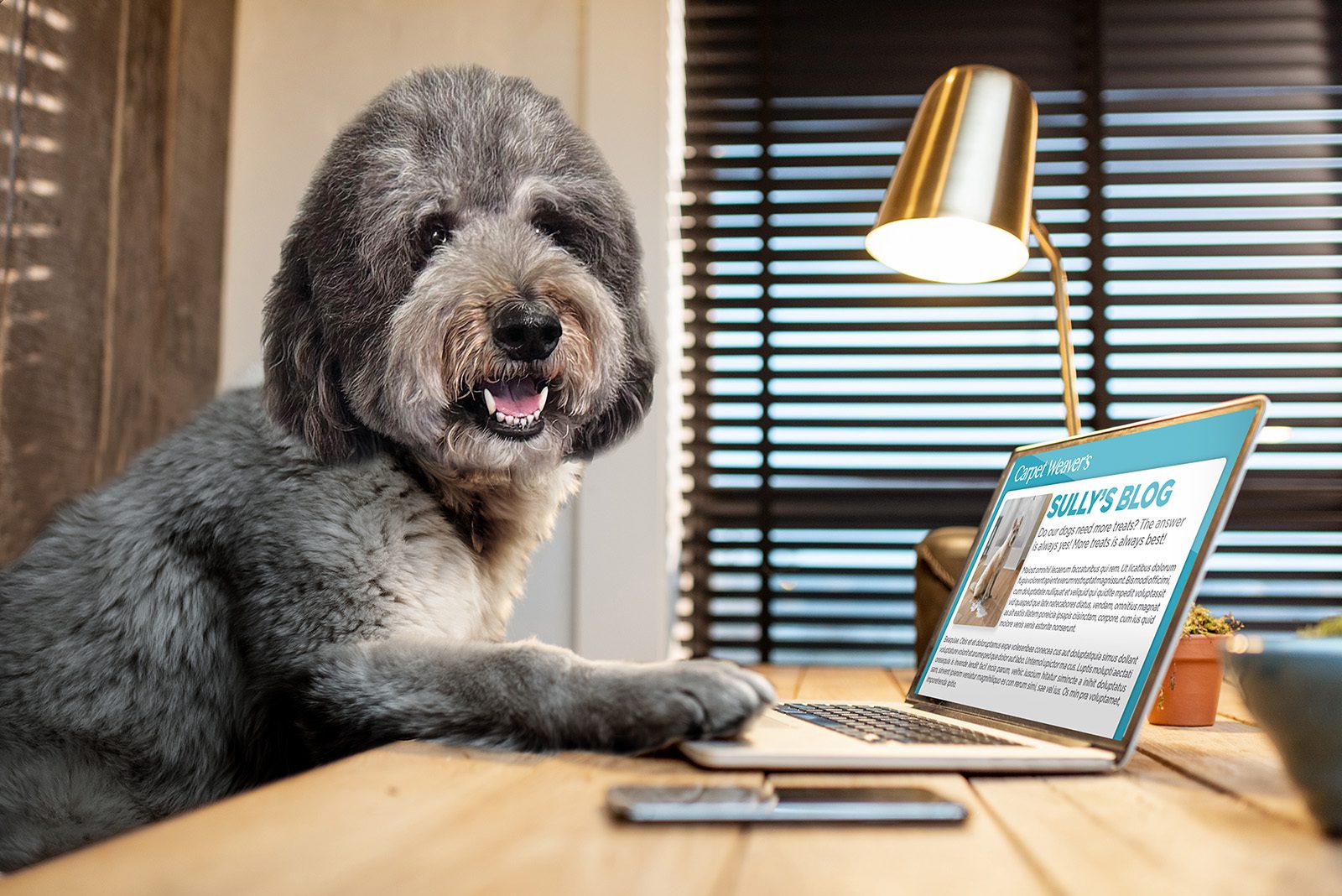 dog typing a blog on computer